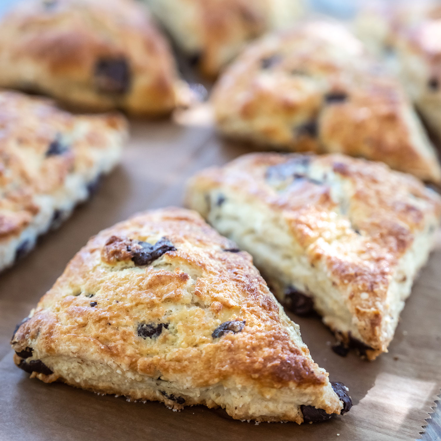 Blueberry scones